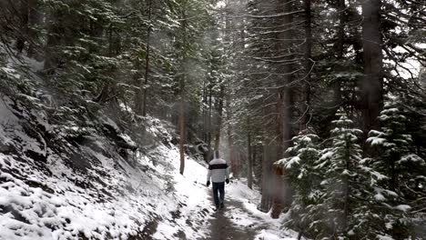 Wandern-In-Den-Rocky-Mountains-Während-Eines-Schneesturms