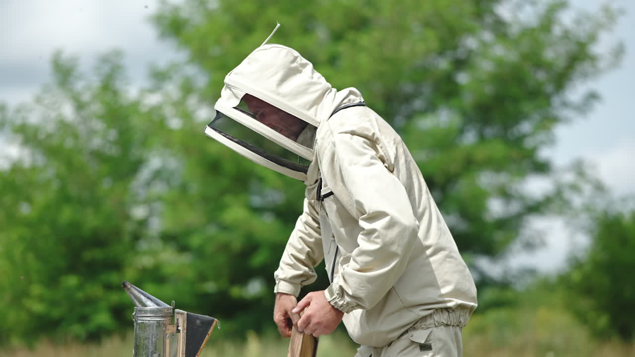 Beekeeper in protective uniform takes off the lid of the bee hive. Man uses smoker to calm the bees down. Blurred nature backdrop.