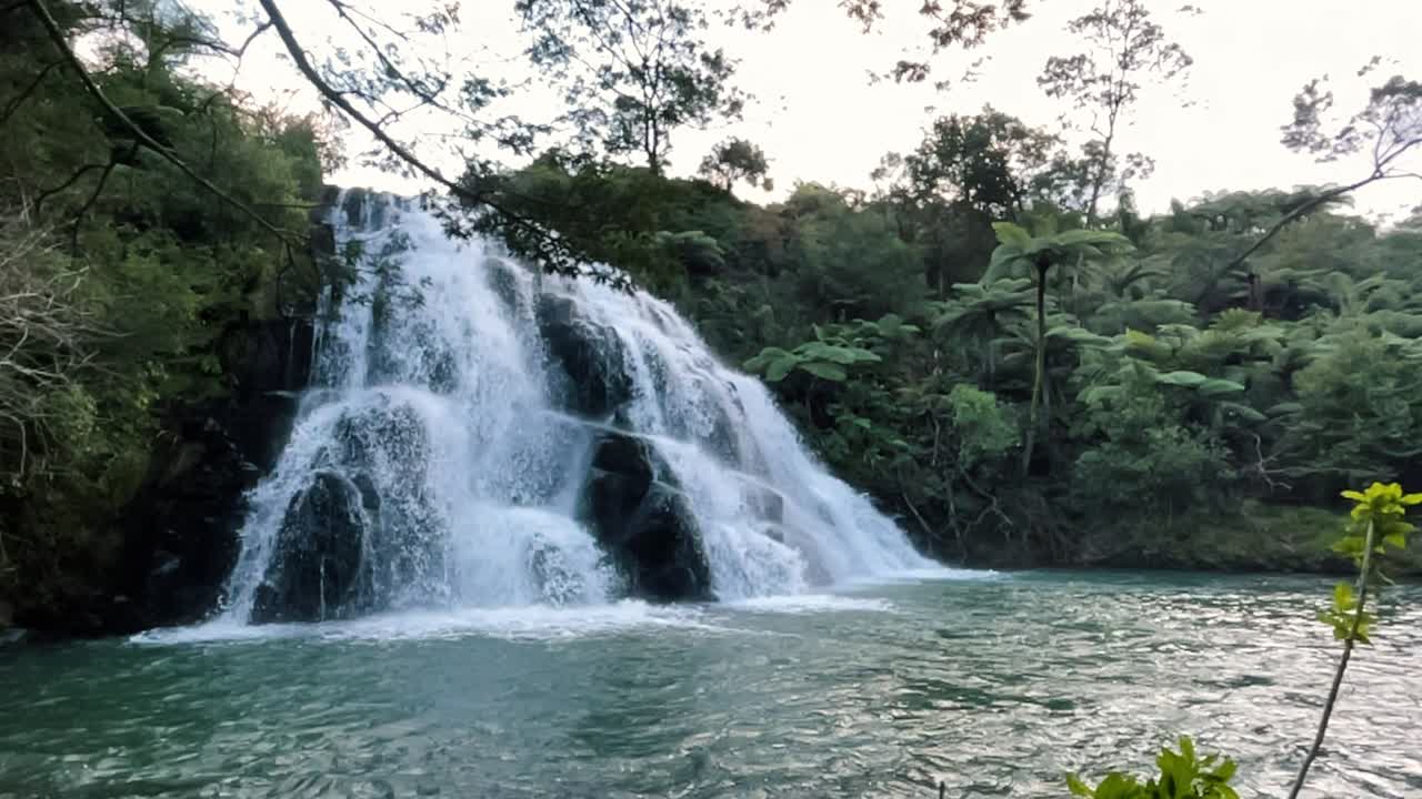 cascada de movimiento lento en cascada a través de un bosque en un lago