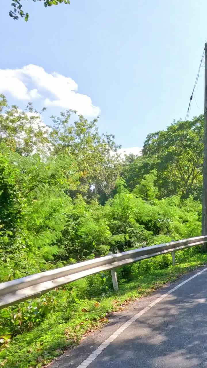 울창 한 푸른 숲 을 가로질러 휘어지는 길