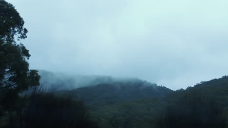 rolling clouds over forested mountains during foggy morning