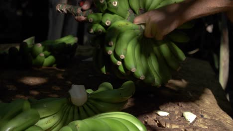 pseudostem cuts, efficient sustainable harvest techniques, food quality