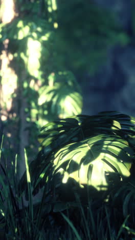 lush tropical jungle plants with sunlight and shadows