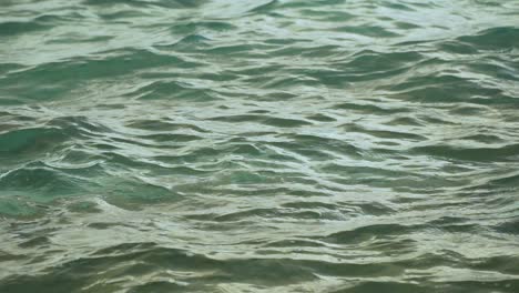 static background footage of ocean surface with gentle waves and ripples, slow