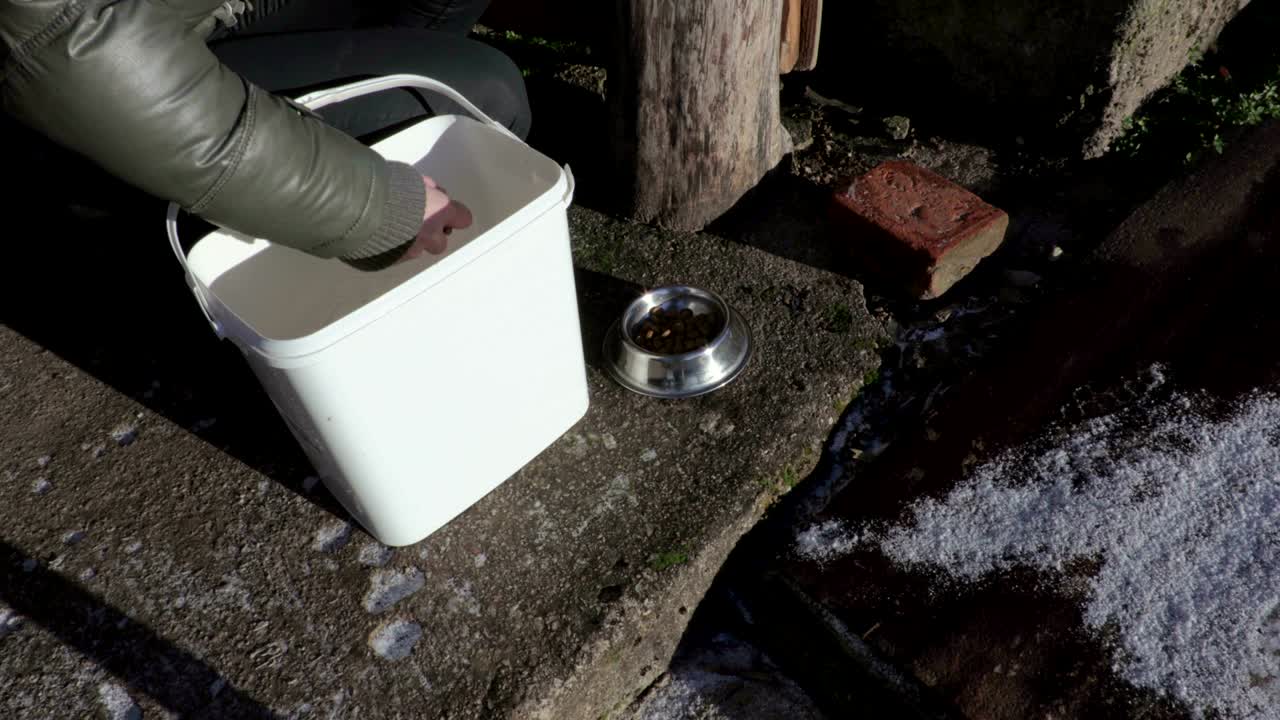 마당 에 있는 그 근처 에 있는 고양이 음식 을 가진 여자