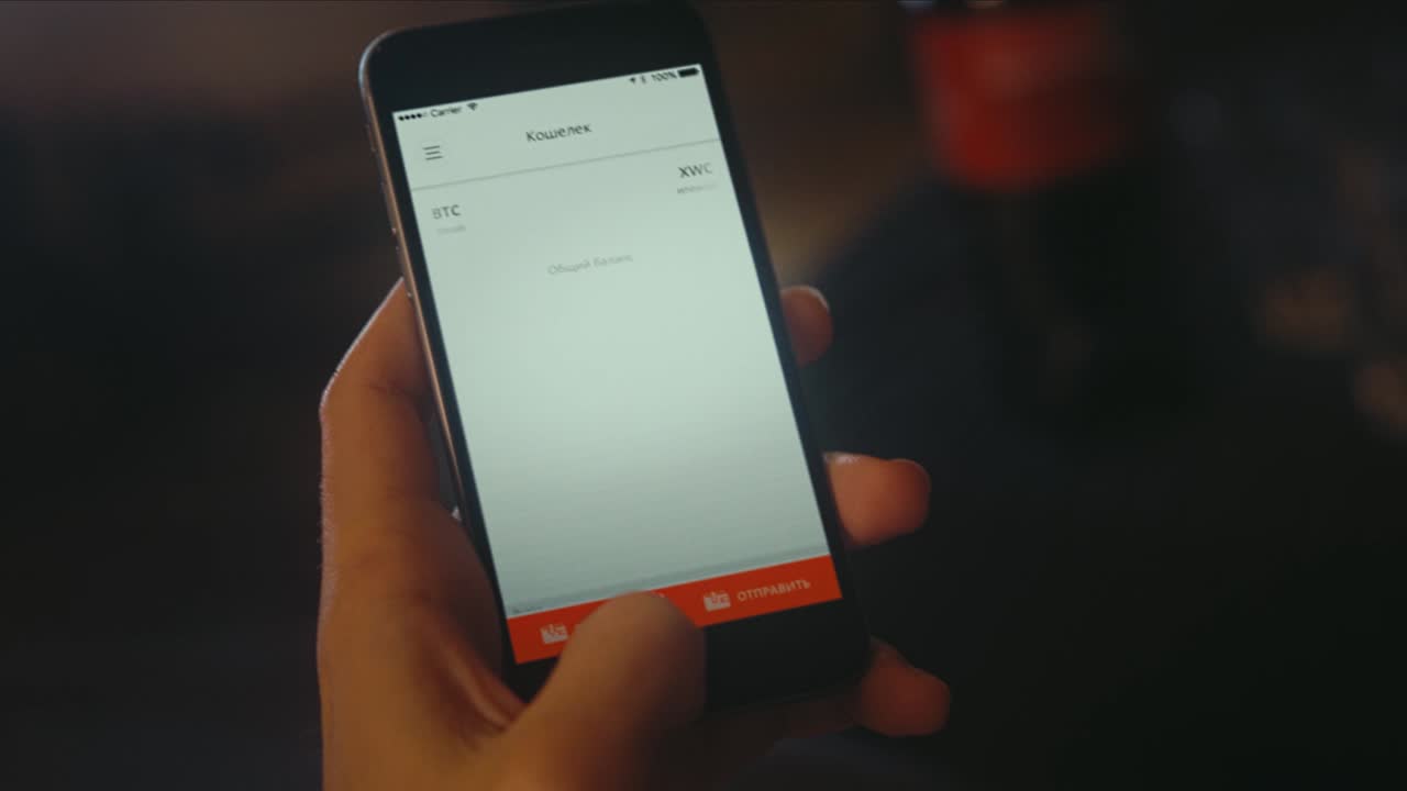 Cryptocurrency Mobile Wallet Transaction