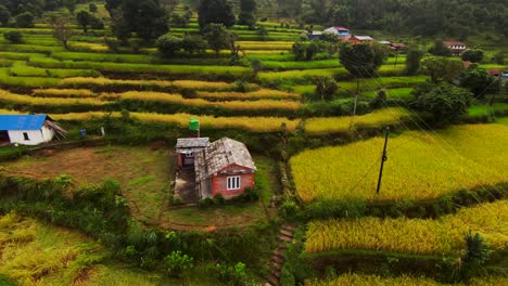 Campos-De-Arroz-En-Terrazas-Vistos-Desde-Un-Dron-FPV-En-Nepal