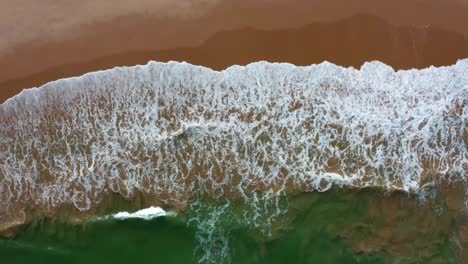 gorgeous rising aerial top bird's eye view of a exotic tropical beach in tabatinga near joao pessoa, brazil on a warm summer day