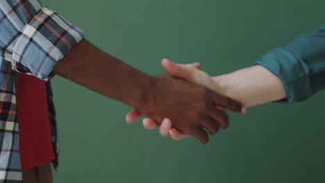 handshake of two multiethnic men