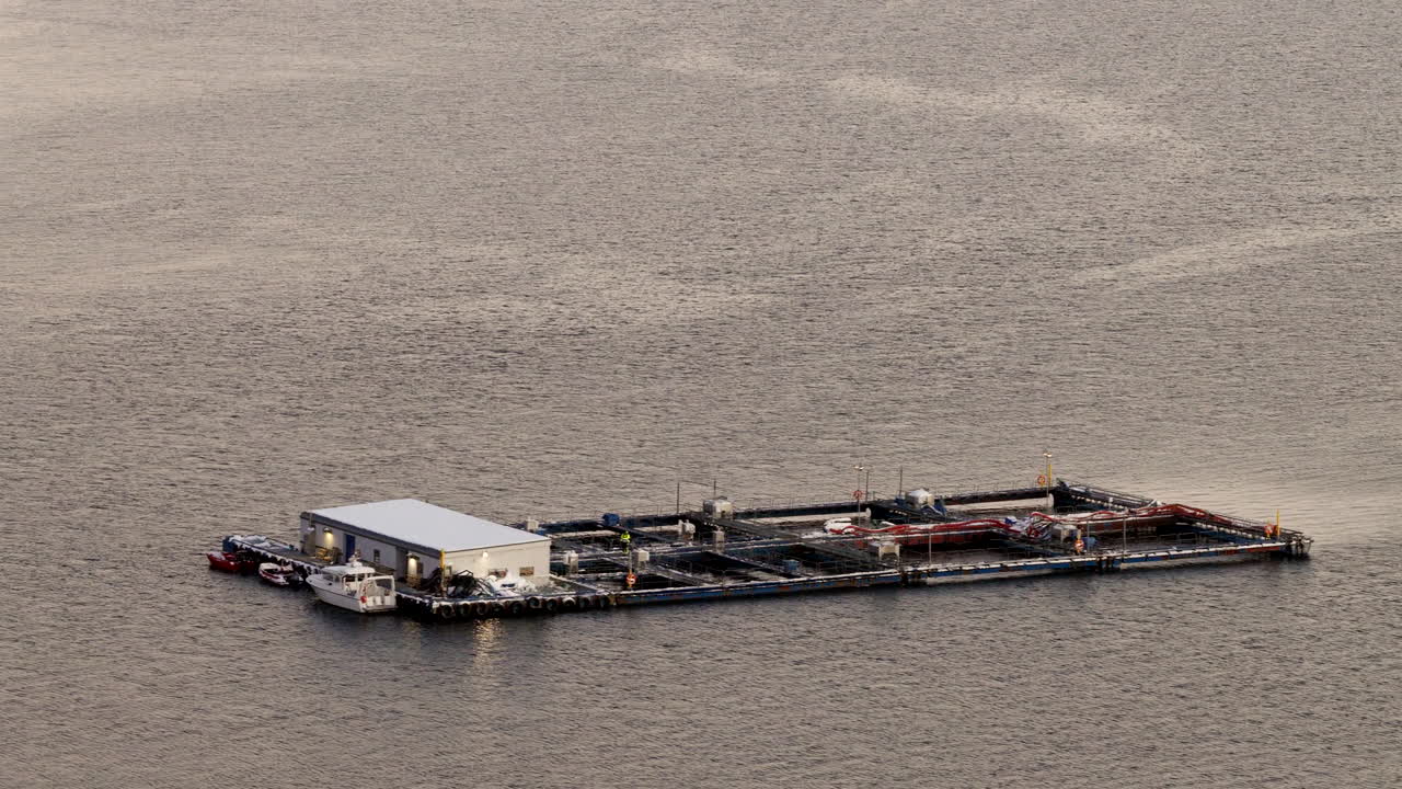 Vista drone notturna polare di un impianto di maricoltura per l'allevamento di merluzzi nel fiordo di Ringvassoya.