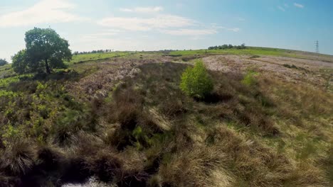 Un-Dron-De-Bajo-Vuelo-Disparó-Sobre-Un-Pequeño-Estanque-Y-Un-Páramo-Inglés,-Yorkshire