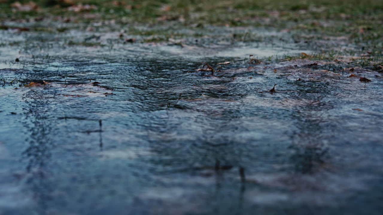 Thin ice covering grass with fallen leaves visible underneath, creating a calm natural surface ideal for backgrounds, transitions, and cold seasonal visuals. Lateral movement