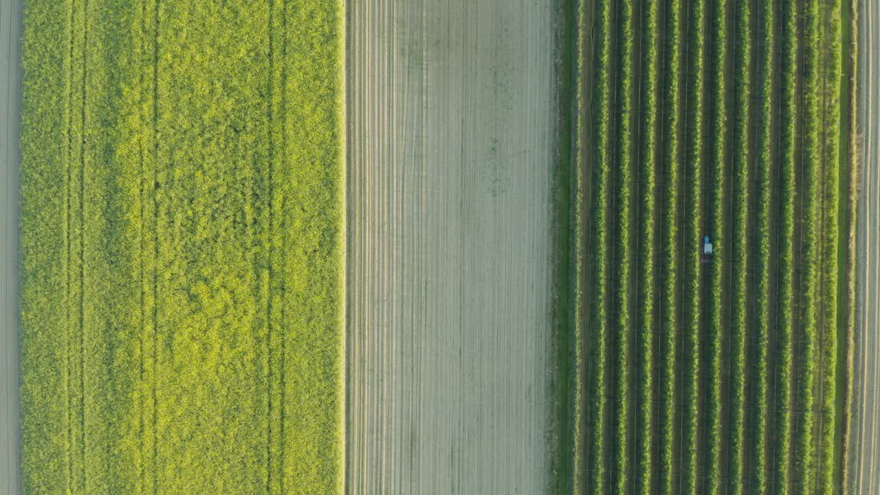 toma aérea de tierras de cultivo con un tractor cosechando