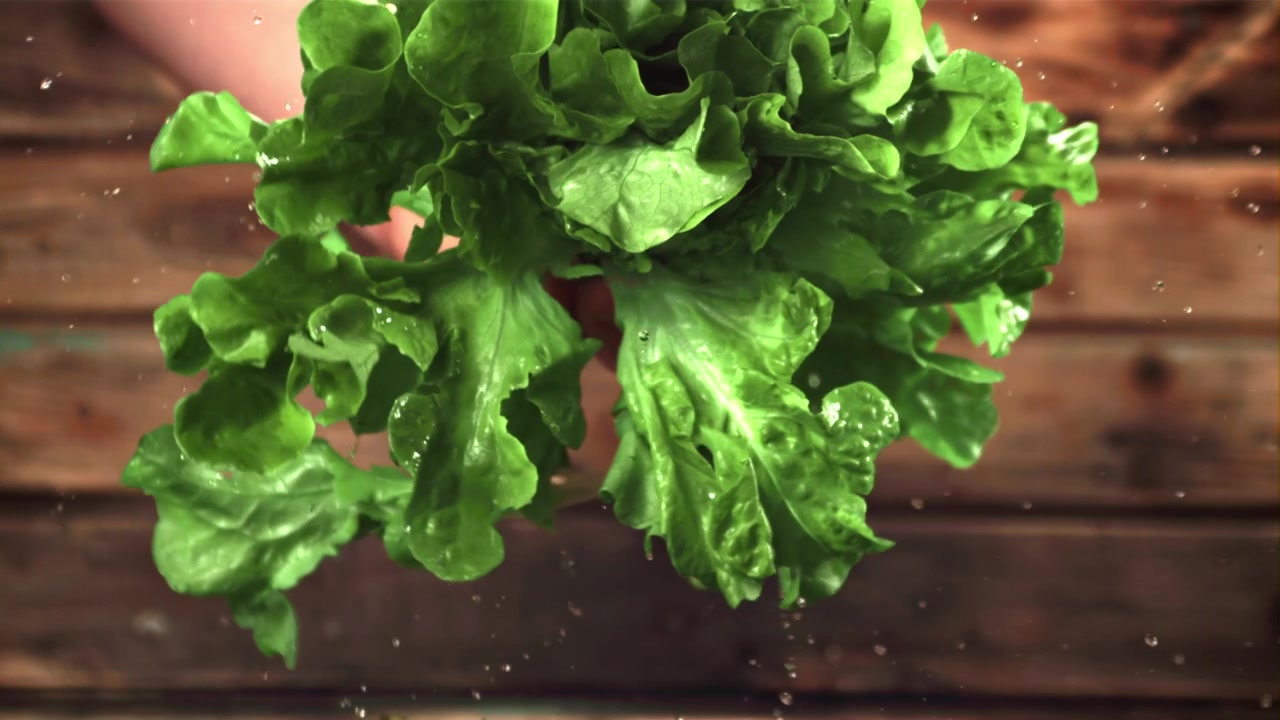Frischer grüner Salat mit in Zeitlupe fallenden Wassertropfen.