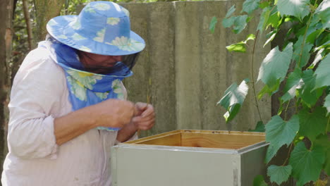 an elderly beekeeper working in an apiary near the hive 4k video