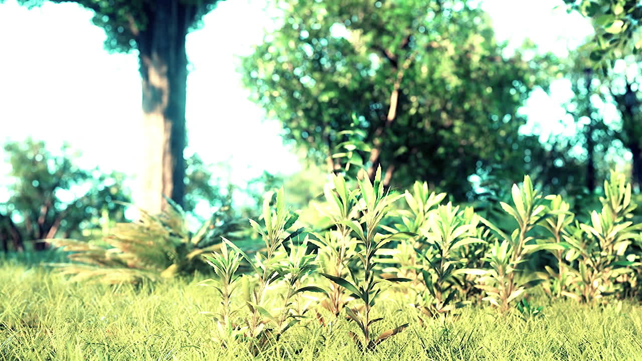 escena del prado del bosque