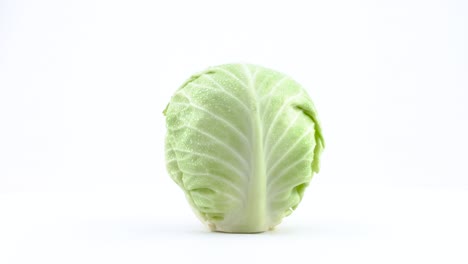 one whole mini white cabbage with water drops is rotating on the turntable isolated on the white background. close-up. macro.