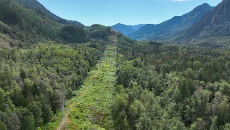 Vista-Aérea-De-Los-Cables-De-Servicios-Públicos-Que-Atraviesan-Los-Densos-Bosques-Del-Estado-De-Washington