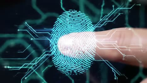 digital fingerprint technology: exploring the intersection of human identification and electronic security through advanced biometric systems