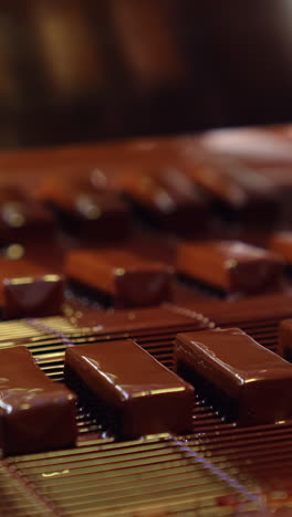 sweet bars move along the conveyor. tasty candies freshly-covered with chocolate at the confectionery factory. vertical video