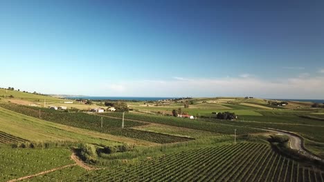 fly over vineyards toward the sea in sicily