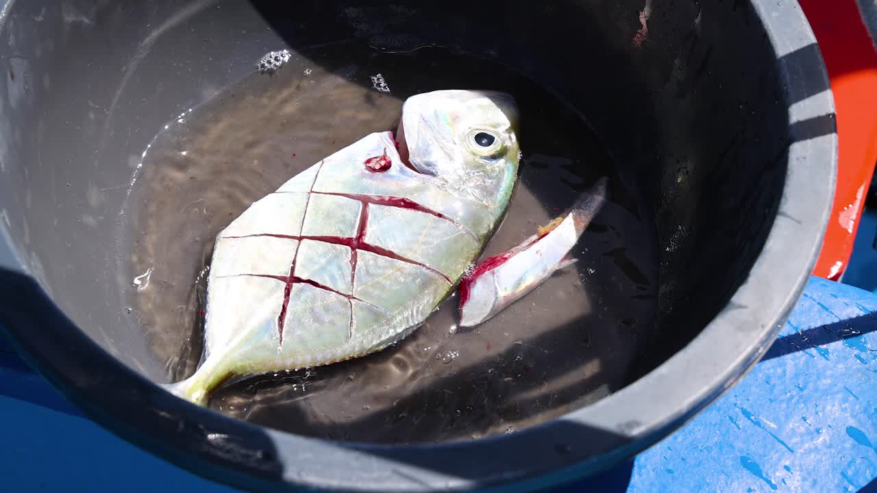 un pescado recién preparado con cortes se encuentra en un cubo iluminado por el sol, mostrando colores y texturas vibrantes