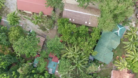 Top-down-view-of-urban-houses-surrounded-by-tall-coconut-tree-from-puerto-galera