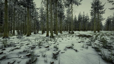 majestic winter forest landscape enveloped in serene snow blanket