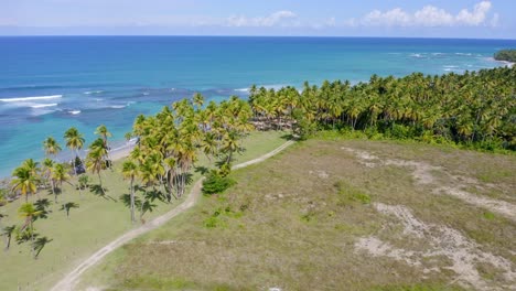 Tiro-De-Retroceso-De-Drones-De-La-Costa-Caribeña-Tropical