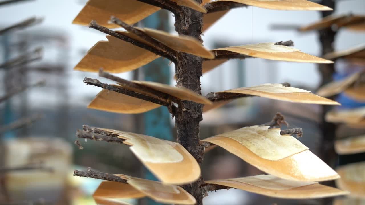 view of shoes with different sizes, close up shot