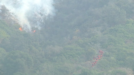 Feuerwehrleute-Schneiden-Eine-Feuerlinie-In-Dichtem-Gebüsch-Und-Vegetation-Während-Des-Thomasfeuers-In-Ventura-Und-Santa-Barbara,-Kalifornien-1