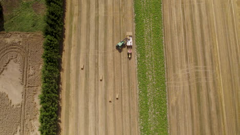 aerial top down view of hay harvest agriculture machinery, tractor in agricultural farmland field working carry load hay bales on truck, farm work and labor