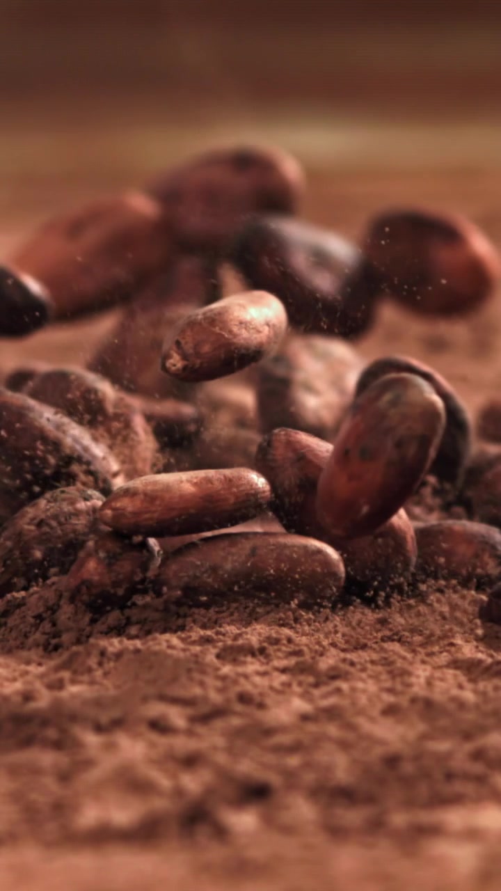 Granos de cacao cayendo sobre cacao en polvo en cámara lenta