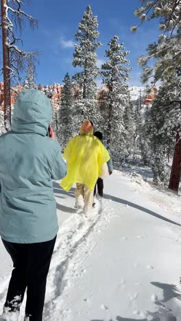 embarking on a winter hiking adventure through beautiful snowy trails surrounded by nature a group of friends enjoys hiking on a snowy trail surrounded by beautiful pine trees in picturesque winter scenery