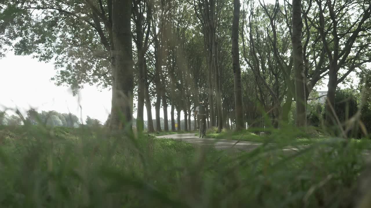 나무와 풀이 있는 공원에서 자전거를 타는 여자