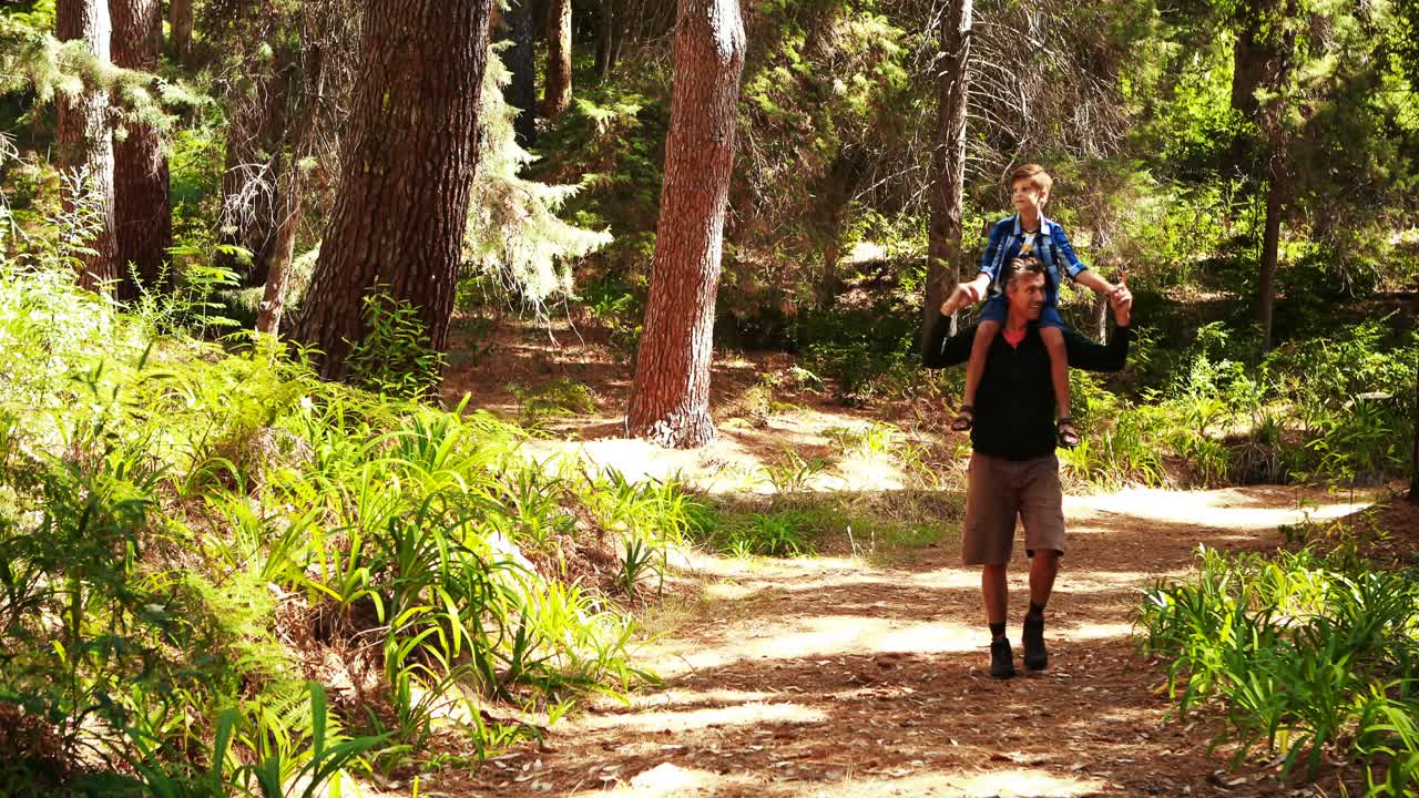 아버지 와 아들 이 공원 에서 자연 을 바라보고 있다