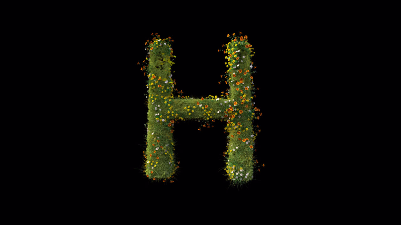 Lettera H animata composta da erba e fiori in crescita