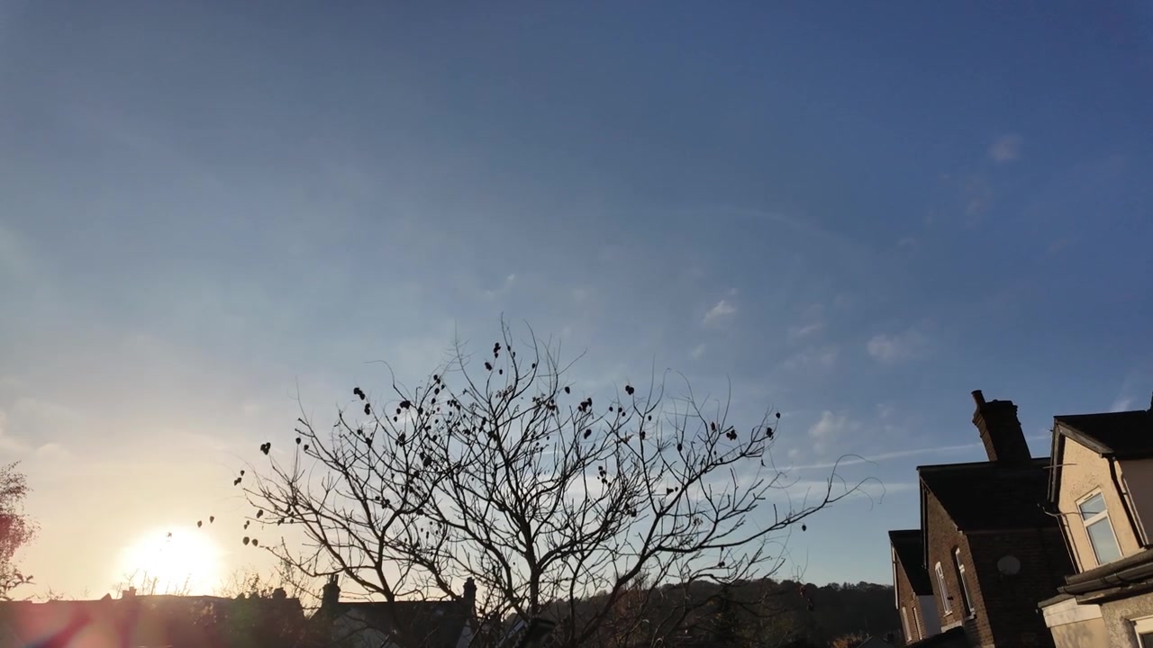 澄み切った青空と葉のない木のシルエット、郊外の家々を映すスムーズな左から右へのパンタイムラプス。ジェット機の飛行機雲が澄んだ大気を横切り、穏やかな住宅地の風景が広がる。