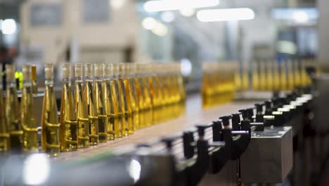 proceso de producción de vino blanco en factor vino