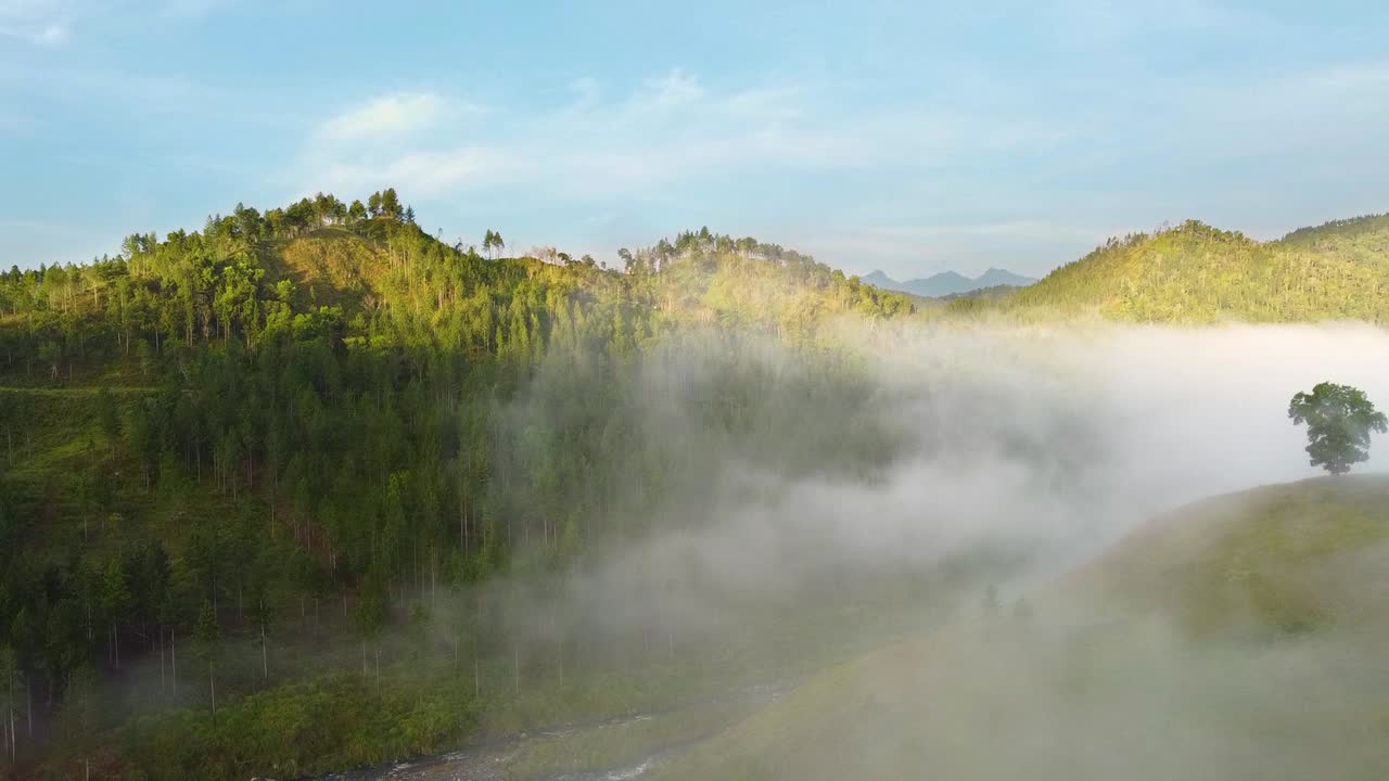 안개가 자욱한 산악 지역의 공중 촬영