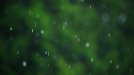 Schnee-Fällt-Langsam-Vor-Grünem-Baumhintergrund