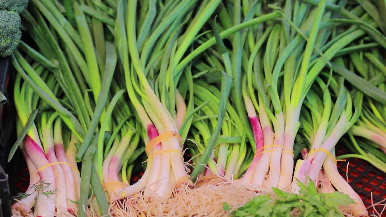 Shopping Vegetable In Greengrocer 7