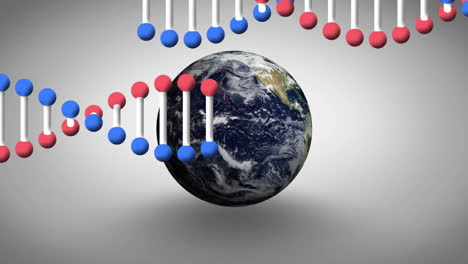 animation of dna strand over earth globe on grey background