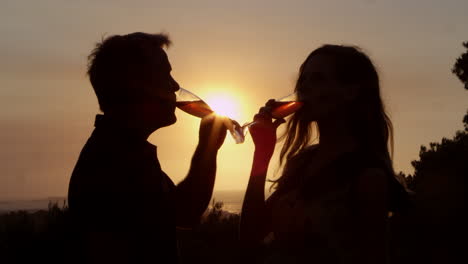 Ein-Romantisches-Paar-Stößt-Draußen-Bei-Sonnenuntergang-An,-Aufgenommen-Auf-R3D