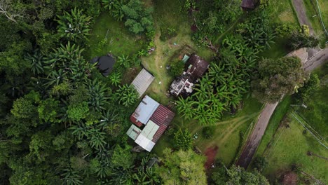 Aerial-bird's-eye-shot-over-small-huts-surrounded-by-lush-green-vegetation-in-Tham-Pla-Pha-Suea-National-Park-at-daytime