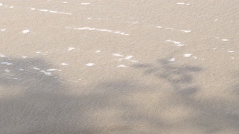 gentle wave on the beach.