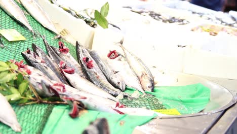 fresh sea fish on the counter of the fish store 2