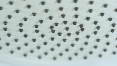 closeup of a shower head