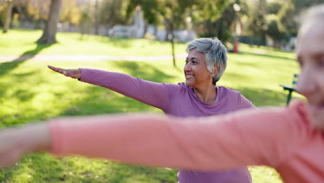 older women doing yoga in the park