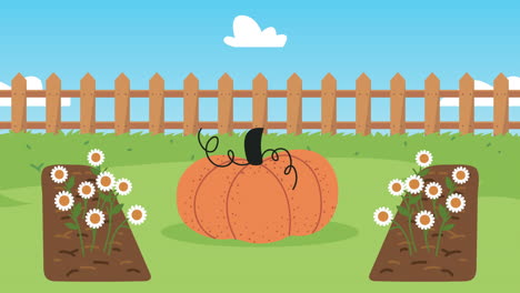 jardín de otoño con calabaza